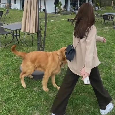 暂缓逮捕